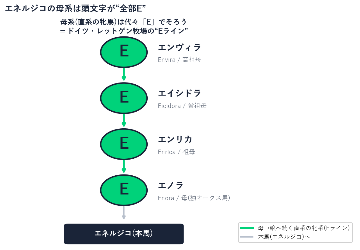 エネルジコの母系を下からたどると、母エノラ・祖母エンリカ・曾祖母アイシドラ・高祖母エンヴィラと、すべて頭文字Eでそろうことを示した母系ツリー図