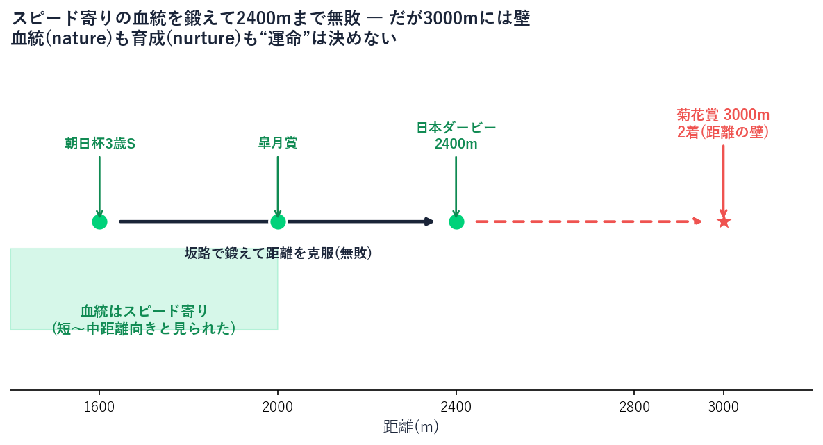距離が伸びるほど挑戦が大きくなる数直線。朝日杯・皐月賞・ダービー2400mを無敗で勝ち上がり、菊花賞3000mで2着=距離の壁にあたったことを示した図