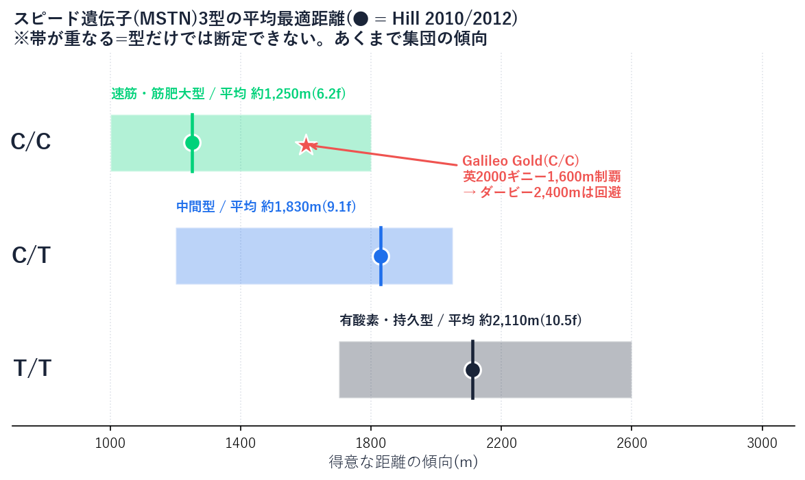 ミオスタチン遺伝子の3型(C/C・C/T・T/T)の平均最適距離を示した距離軸の棒グラフ。C/Cは約1250m、C/Tは約1830m、T/Tは約2110m。C/C型の実例としてGalileo Goldをピン表示
