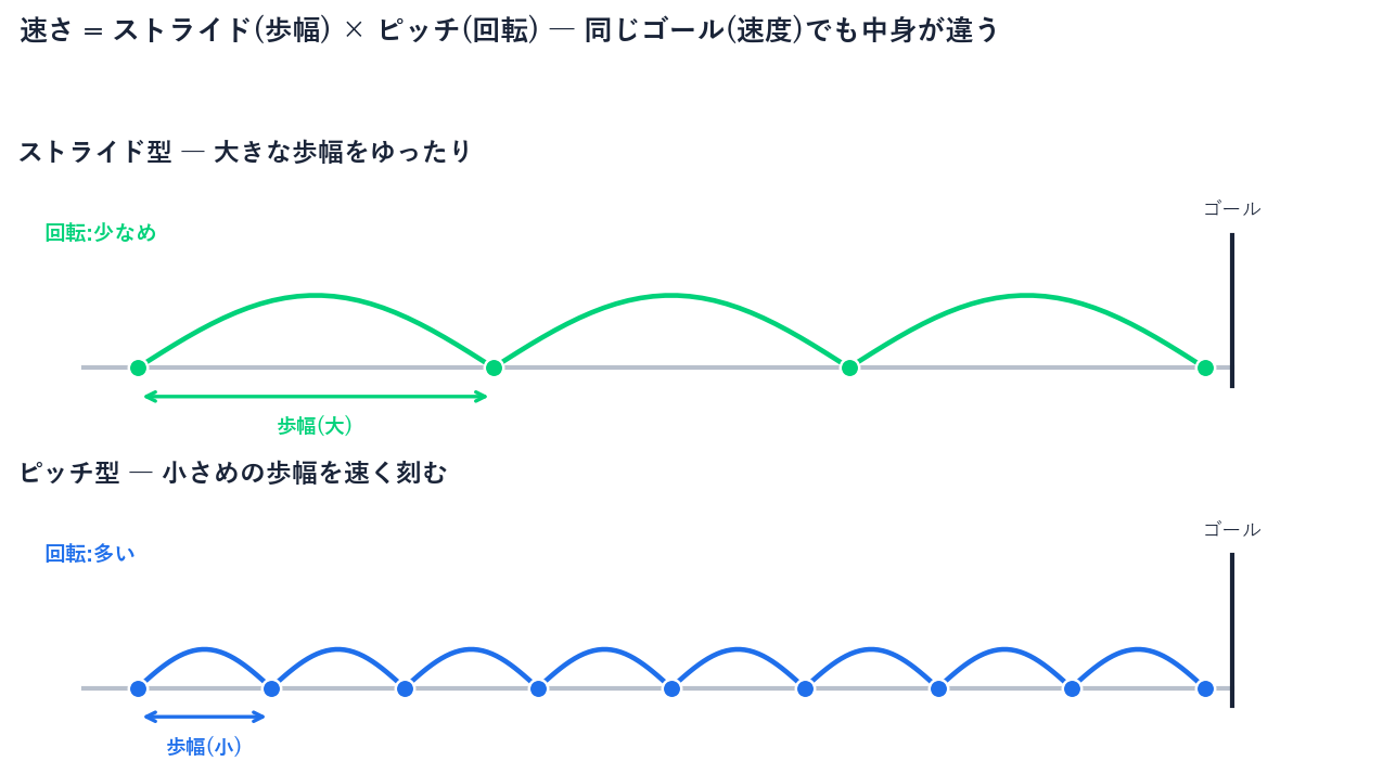 同じ速度を生む2タイプの走りを比較した図。左は大きな歩幅でゆったり進むストライド型、右は小さめの歩幅を速く刻むピッチ型